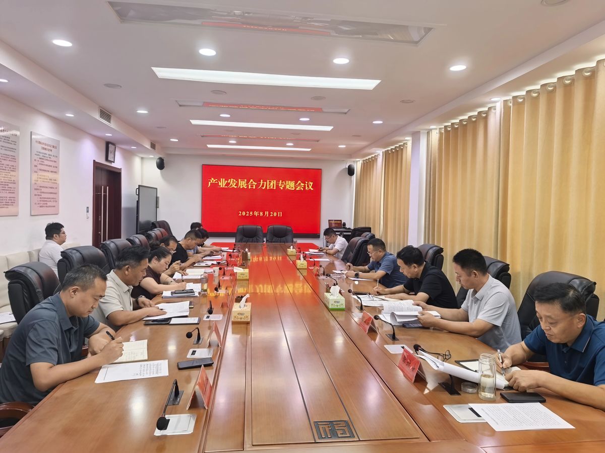 华龙区召开产业发展合力团专题会议