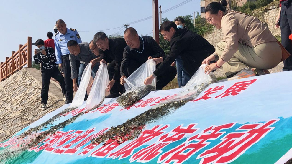 安阳市殷都区水冶镇：放生鱼苗 守护绿水
