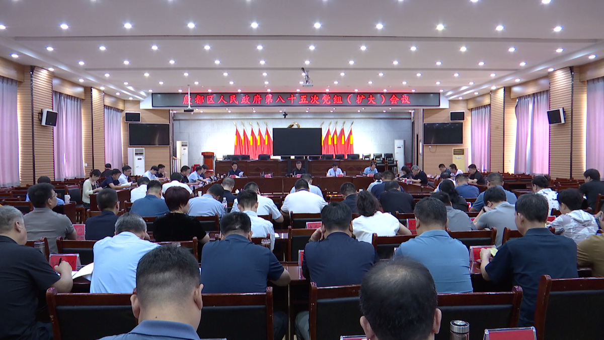 殷都区政府第八十五次党组（扩大）会议召开 