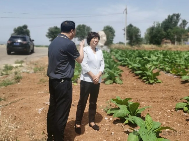 王淑霞到河底镇调研