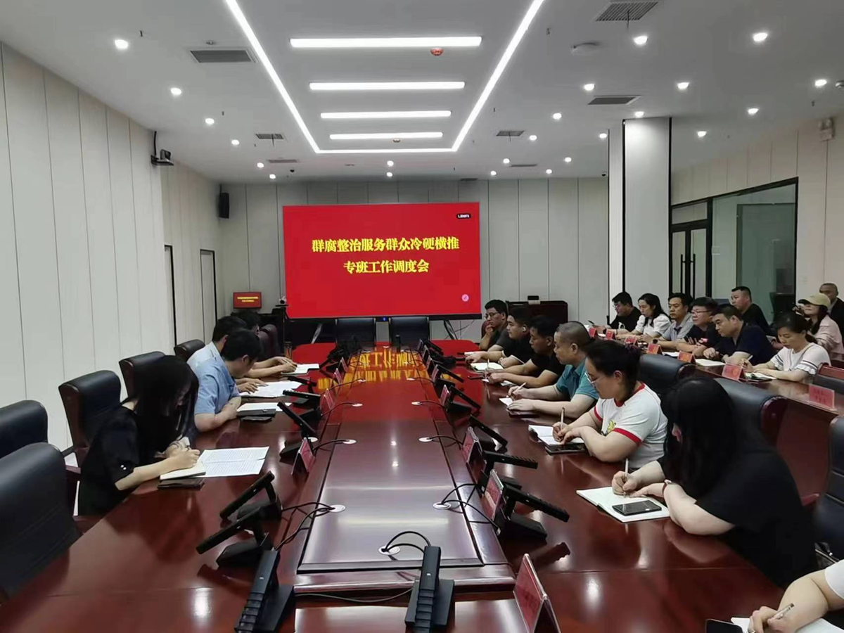 区行政审批和政务信息管理局召开整治服务群众冷硬横推等问题专班调度会