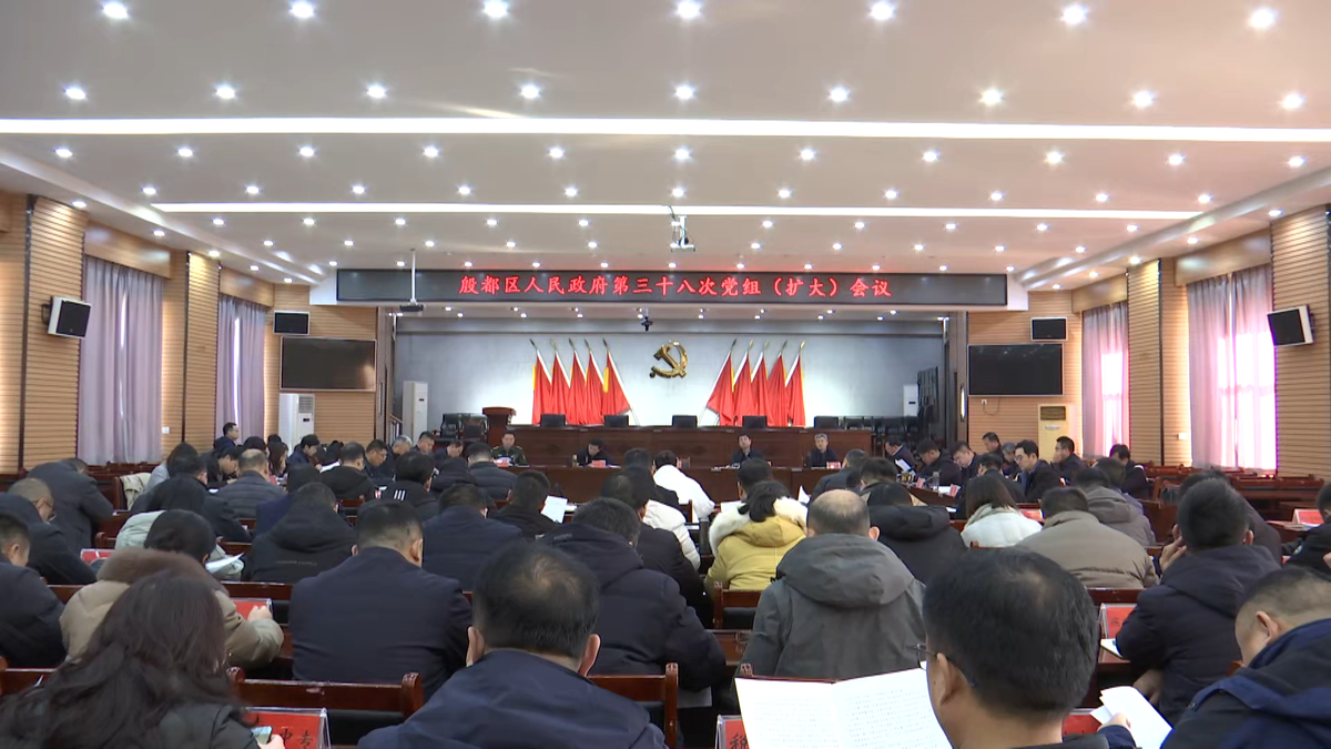 殷都区政府召开第38次党组（扩大）会议