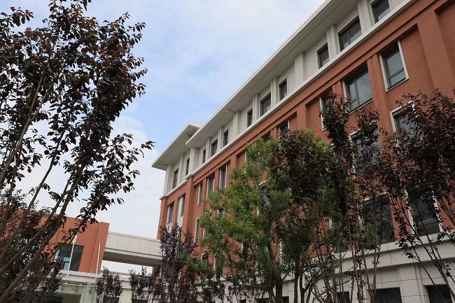 郑州外国语学校航空港校区2023年计划招生6-8个班