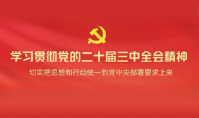 学习贯彻党的二十届三中全会精神