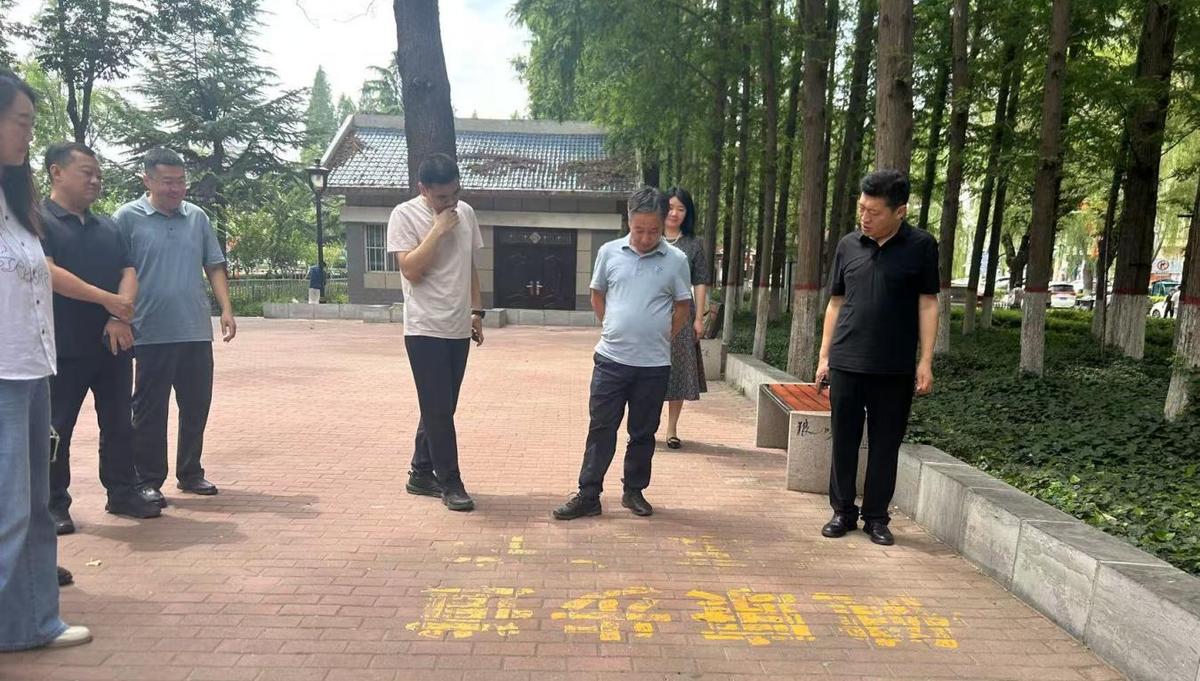 区领导带队调研我区国家慢性病示范区 复审工作