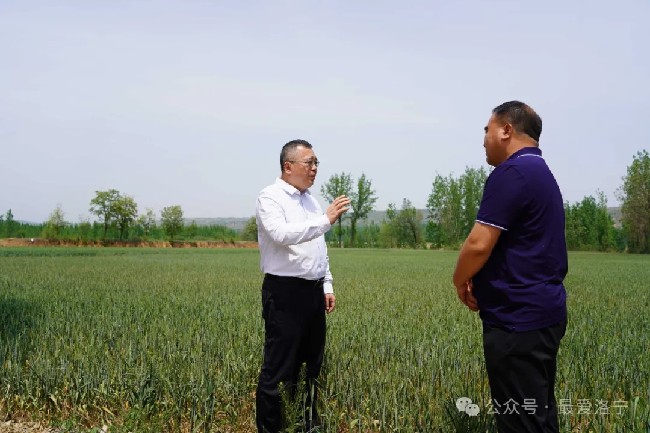 王瑞到河底镇、东宋镇调研当前重点工作
