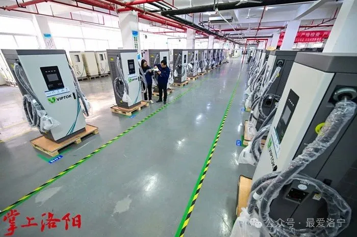 王瑞接受洛陽日報專訪