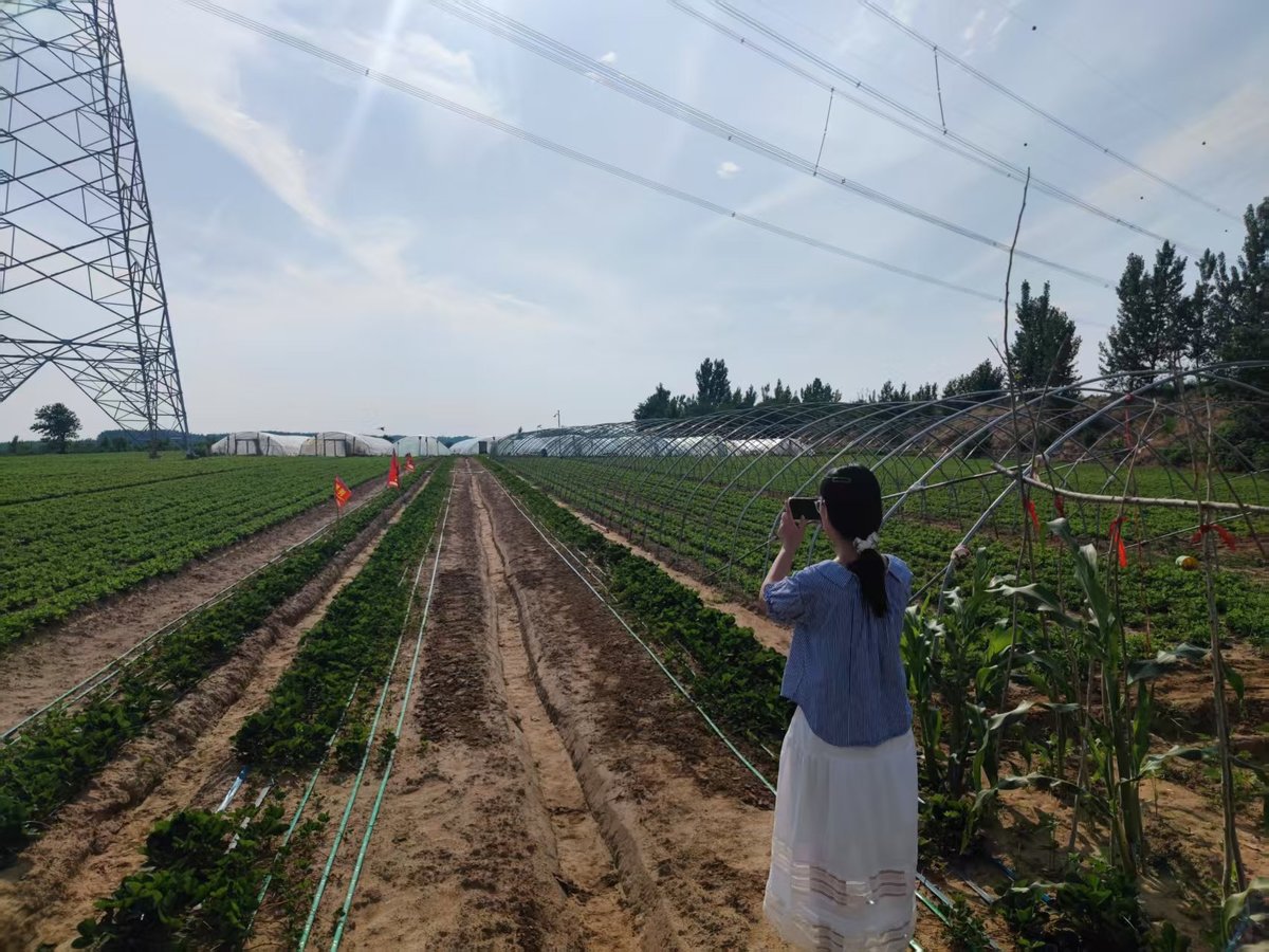 审计一线写真：脚步丈量基本农田 审计守护粮食安全