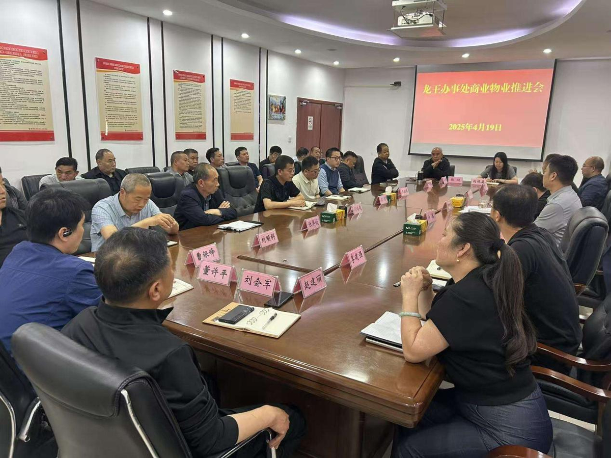 龙王办事处围绕辖区商业物业发展困境 开展“业务大研讨”交流会