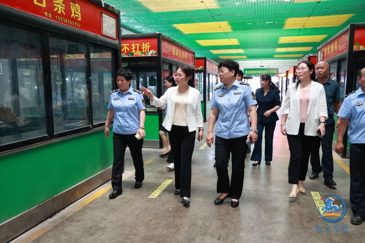 王婕调研巩固国家卫生城市工作！
