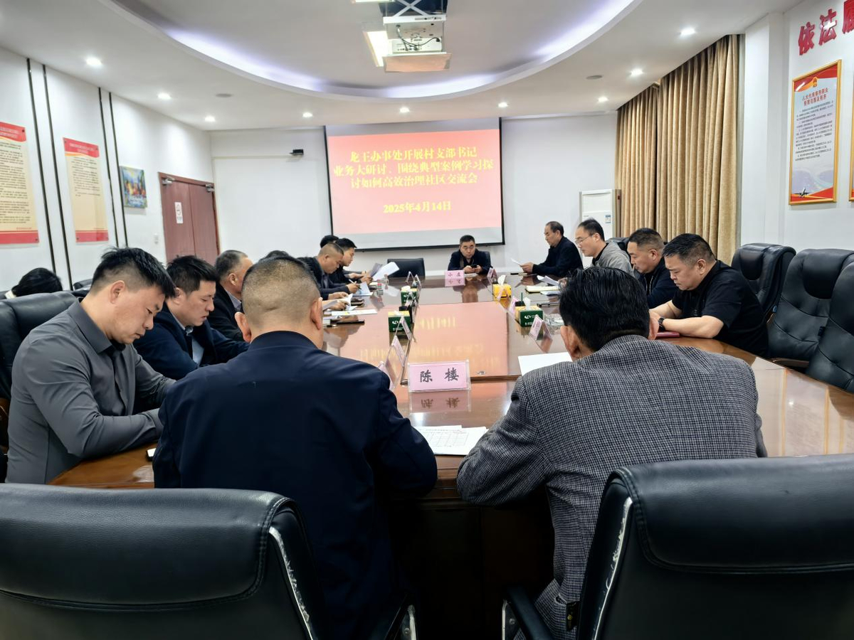 龙王办事处开展业务大研讨、围绕典型案例学习探讨如何高效治理社区交流会