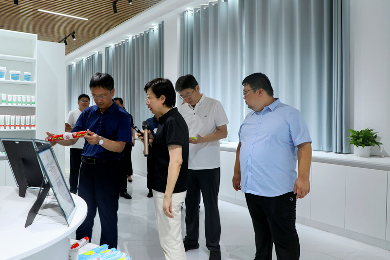 县领导调研重点项目建设工作