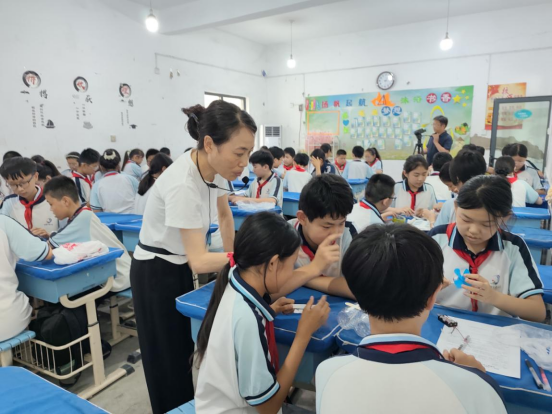深耕实验沃土 共筑科学新篇——龙安区2024-2025学年第二学期小学科学实验调研
