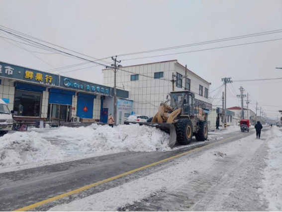 洪河屯全力以赴开展除雪保畅工作